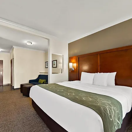 Comfort Suites Corpus Christi Central-3