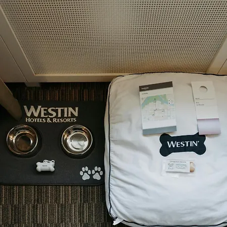 The Westin Calgary-3
