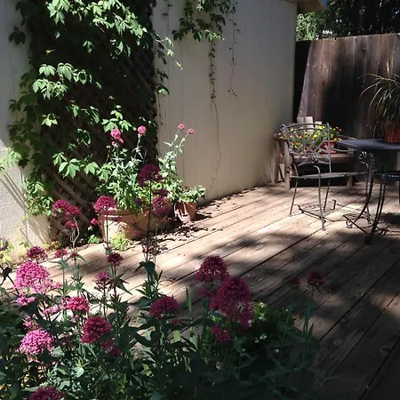Backyard Garden Oasis-3