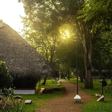 Marari Beach Resort Alleppey - A Cgh Earth Experience-3