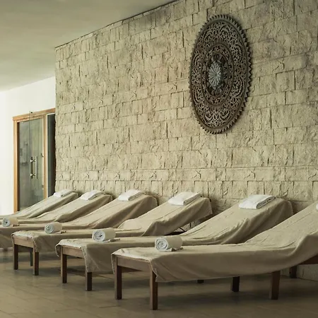 Hotel Sun Palace Albir & Spa (Adults Only)-3