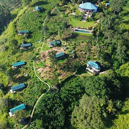 Madulkelle Tea And Eco Lodge-2