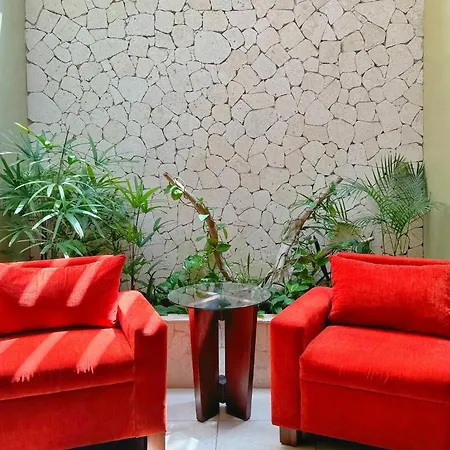 Hotel Casa Colonial Cozumel-Dog Friendly-3