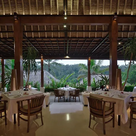 Nandini Jungle By Hanging Gardens-3