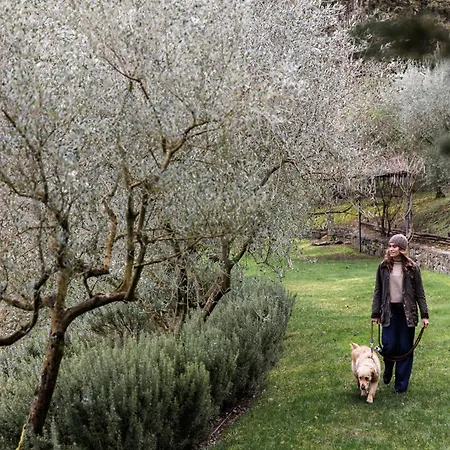La Pensione Di Vignamaggio-2