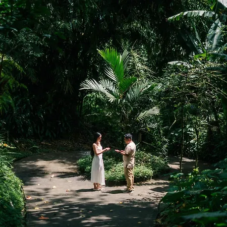 Munduk Moding Plantation Nature Resort-3