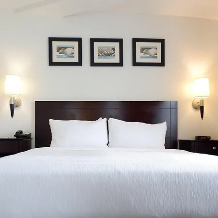 The Volare, An Ascend Collection Hotel-2