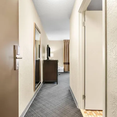 Comfort Inn Detroit Downtown-3