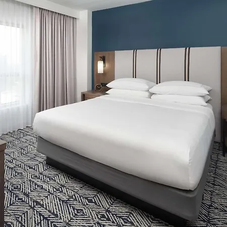 The Chifley Houston, Tapestry Collection By Hilton-2
