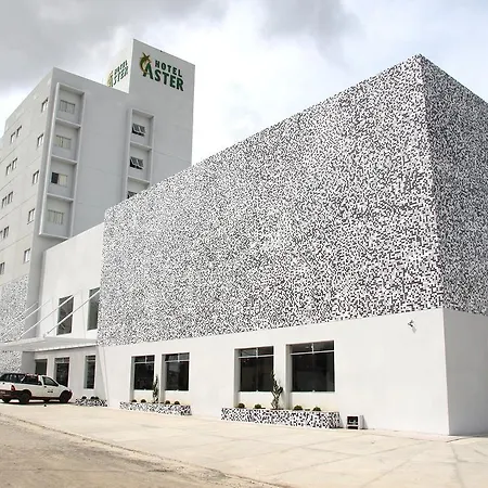 Hotel Áster-2
