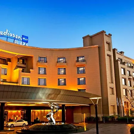 Radisson Blu Plaza Delhi Airport-2