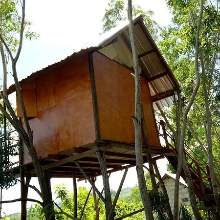 Rumah Pohon-2
