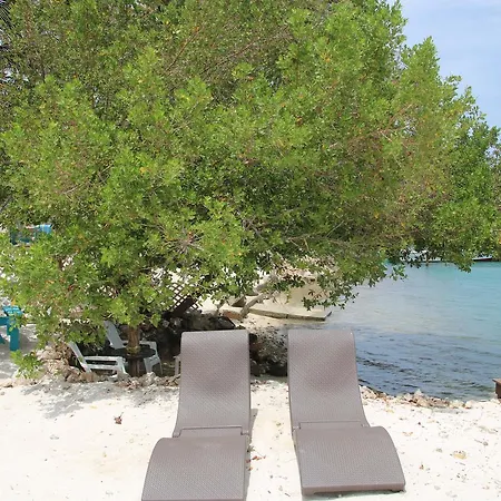 Coral Reef Beach-3