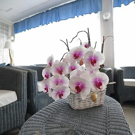 Hotel Villa Rosa-2