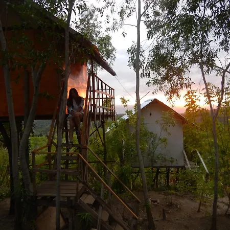 Rumah Pohon-3