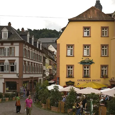 Hotel Goldener Hecht-3