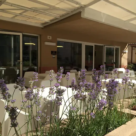 Hotel Little-3