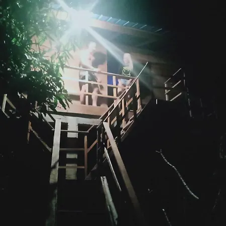 Rumah Pohon-3