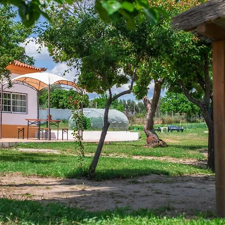 Quinta Da Saudade-3