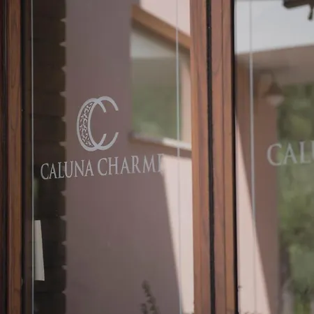 Hotel Caluna Charme-2