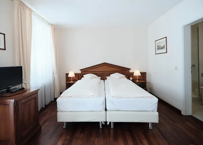 Hotel Weisser Bock