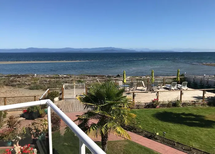 Buena Vista By The Sea