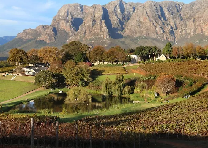 Alluvia Boutique Winery & Luxury Accommodation