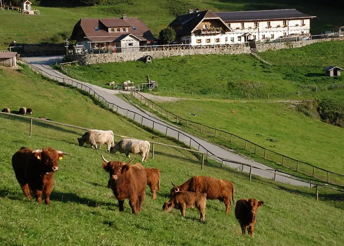 Ferienwohnung Hochsteinalm