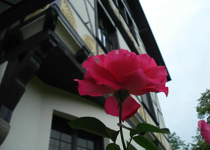 Romantikhotels in Bergen Auf Rugen