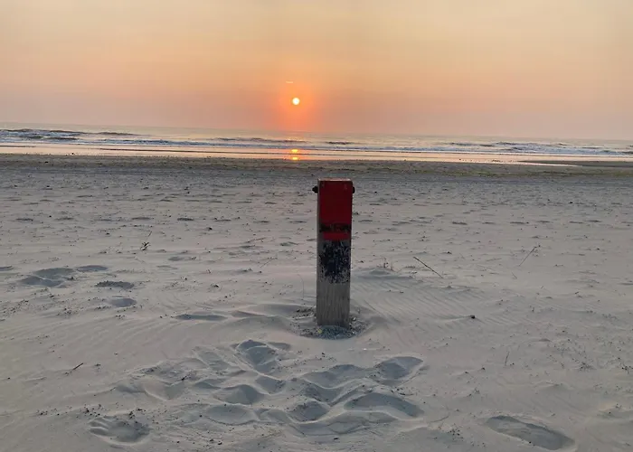 Zilt Texel