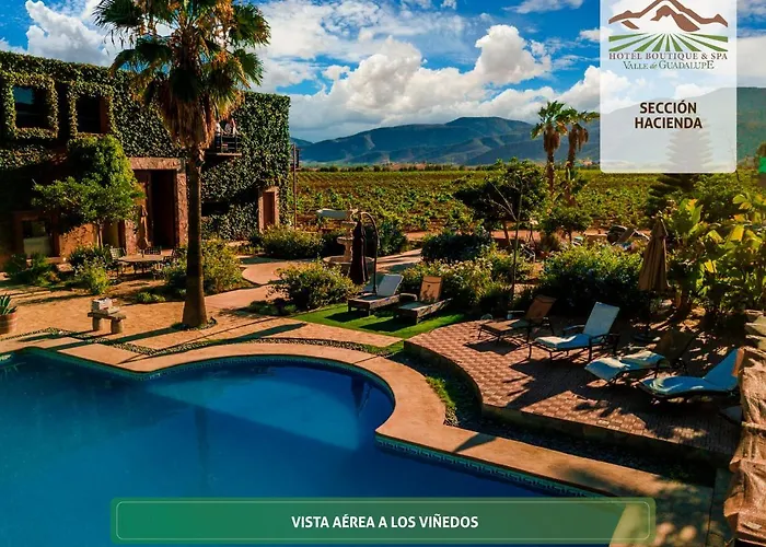 Hoteles Románticos en Valle de Guadalupe 