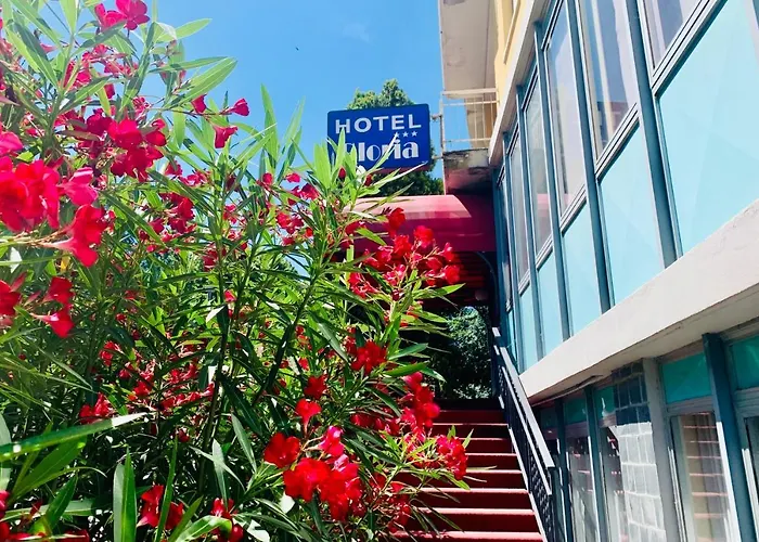 Hotel Gloria