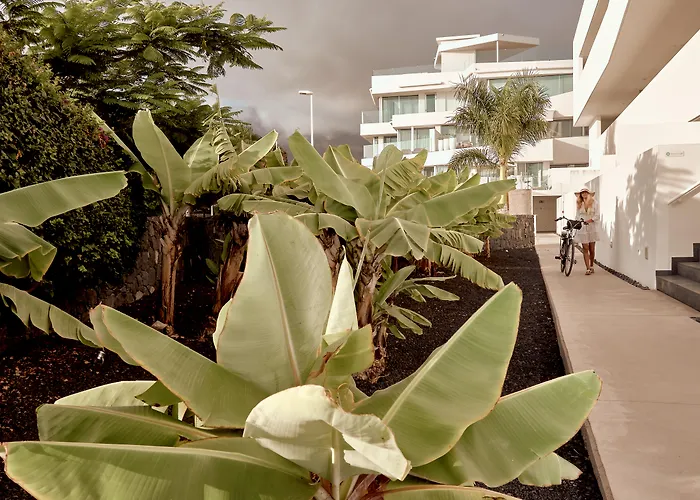 Domes Baobab Suites Costa Adeje 