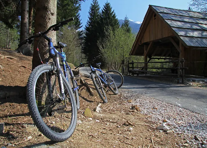 Bohinj Eco Hotel
