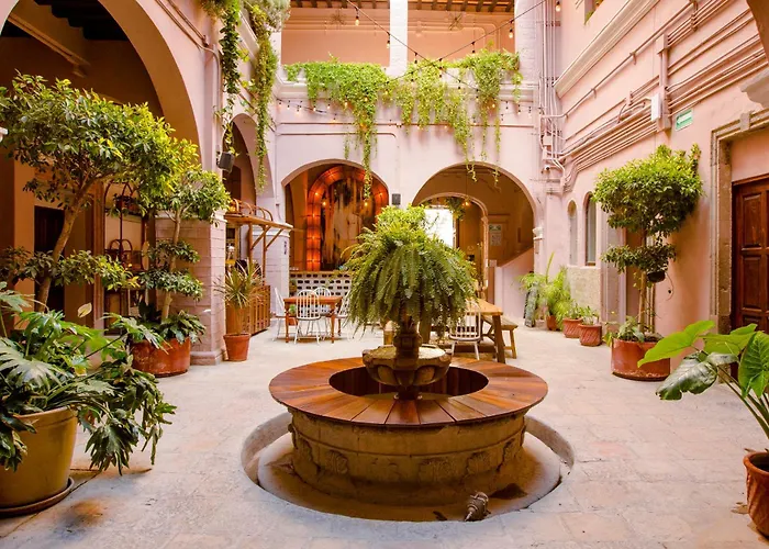 Selina San Miguel de Allende