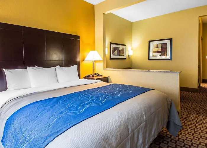 Quality Inn Plant City - Lakeland