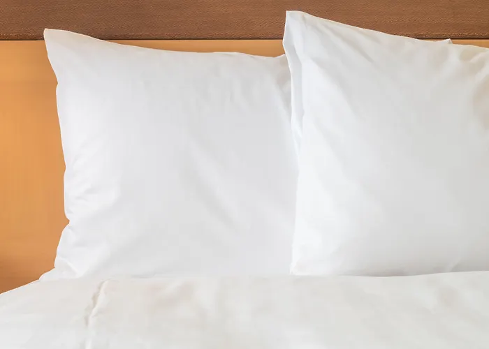 Holiday Inn Charlottesville-Monticello By Ihg