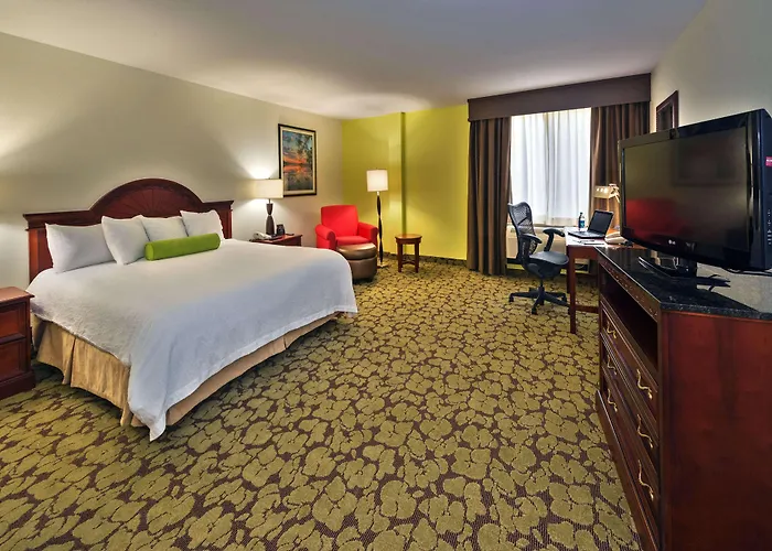 Hilton Garden Inn Lafayette/Cajundome