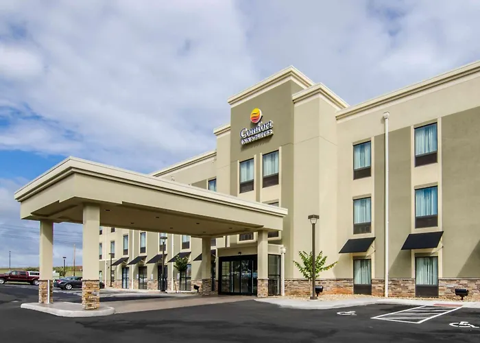 Comfort Inn & Suites Lynchburg Airport - University Area