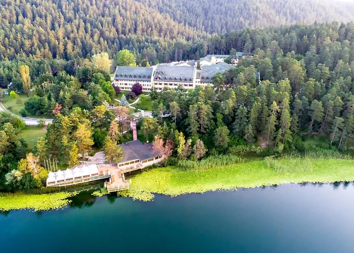 Buyuk Abant Hotel
