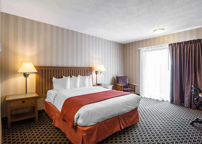 Quality Hotel