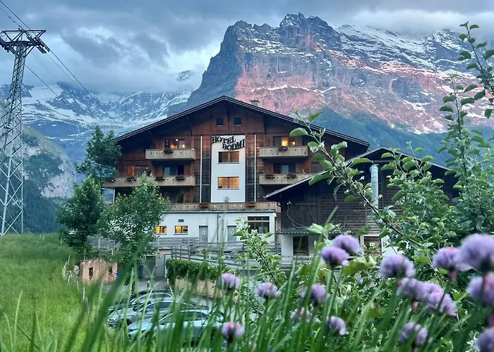 Hotel Bodmi