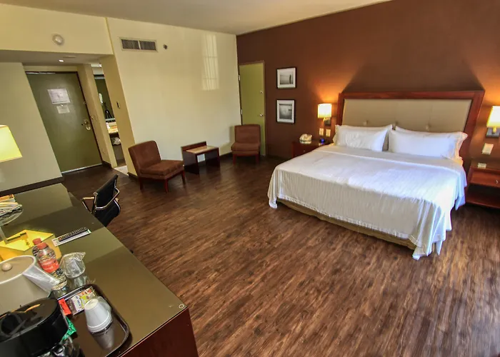 Holiday Inn Leon By Ihg