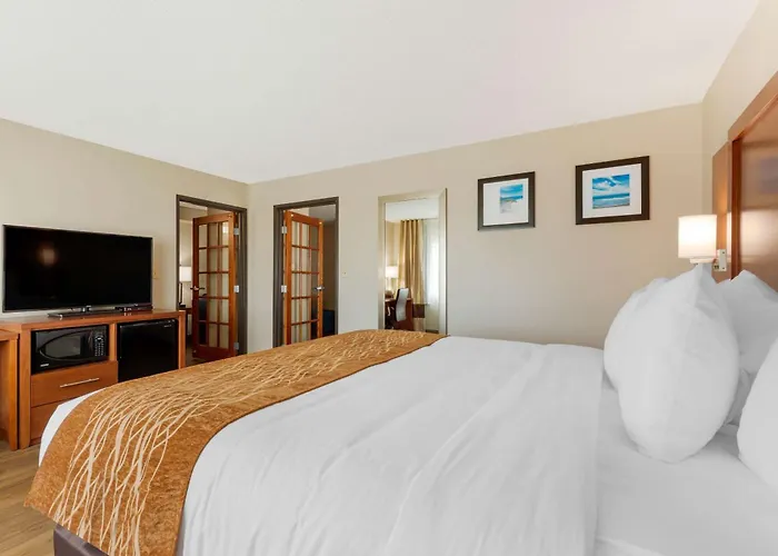 Comfort Inn & Suites Milford