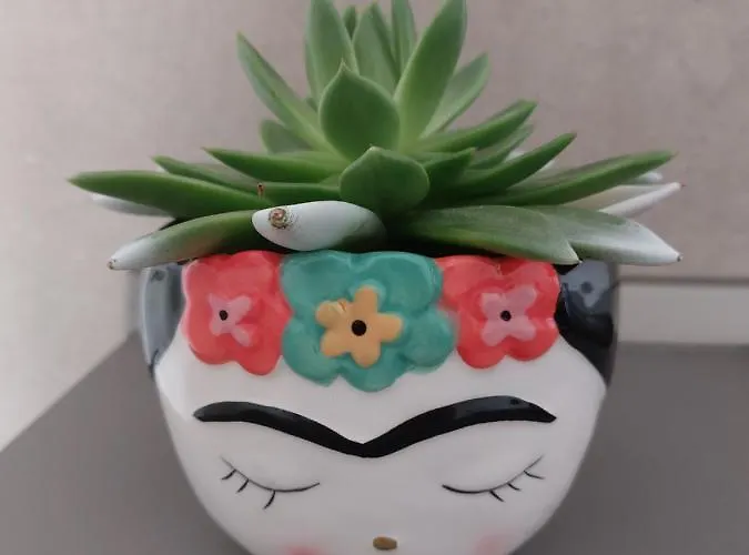 A Casa Di Frida