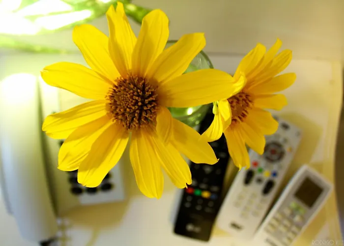 Pousada Alamoa
