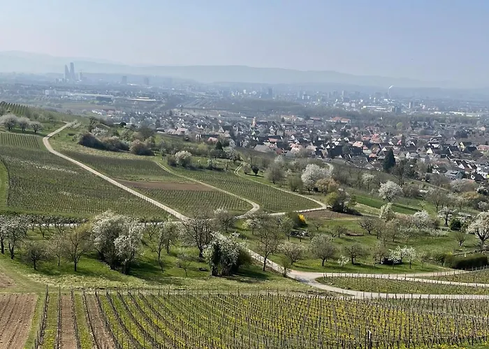 Landgasthof Rebstock Weil am Rhein / Basel