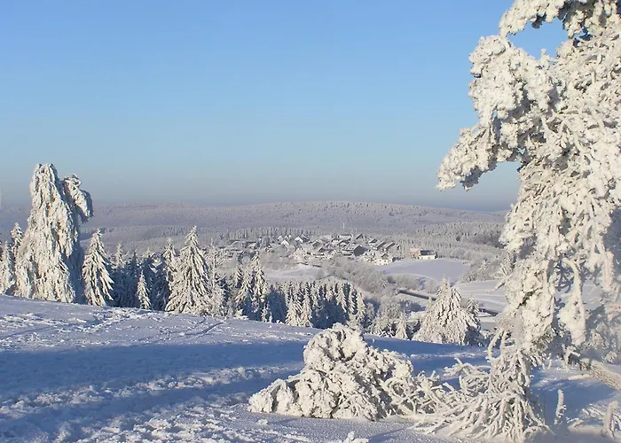 Romantik Berghotel Astenkrone Winterberg