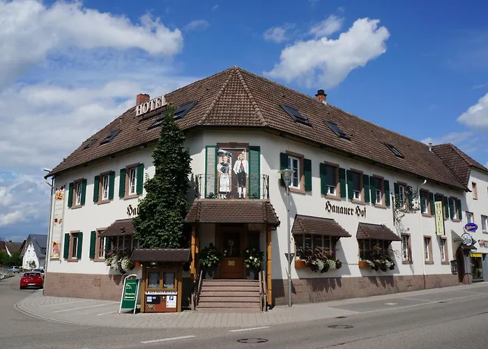 Hotel Hanauerhof