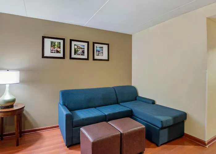 Comfort Suites At Virginia Center Commons Glen Allen
